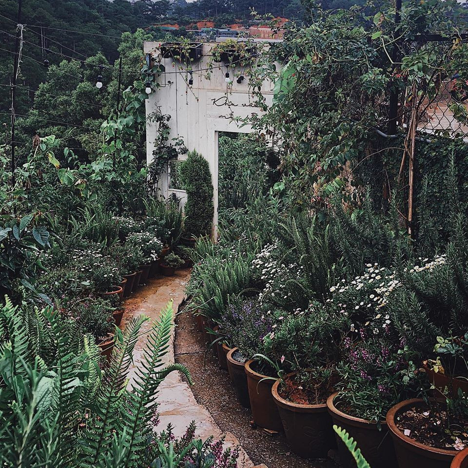 Chỉ có thể là Đà Lạt: Sức hút từ Khu vườn mùa Hè và căn nhà kiếng mộng mơ ảnh 1