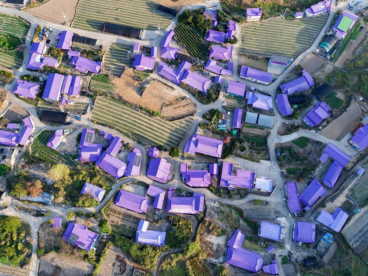 Có gì hấp dẫn ở đảo Banwol - hòn đảo “tím lịm tìm sim” ở phía Nam Hàn Quốc? ảnh 1