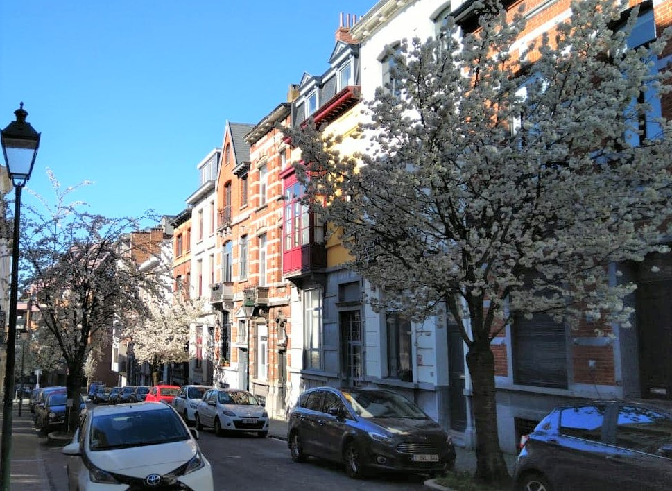 Du học sinh Việt ở Bỉ: Ở nhà 23 giờ mỗi ngày nhưng bất ngờ chưa, không ai cô độc cả! ảnh 4