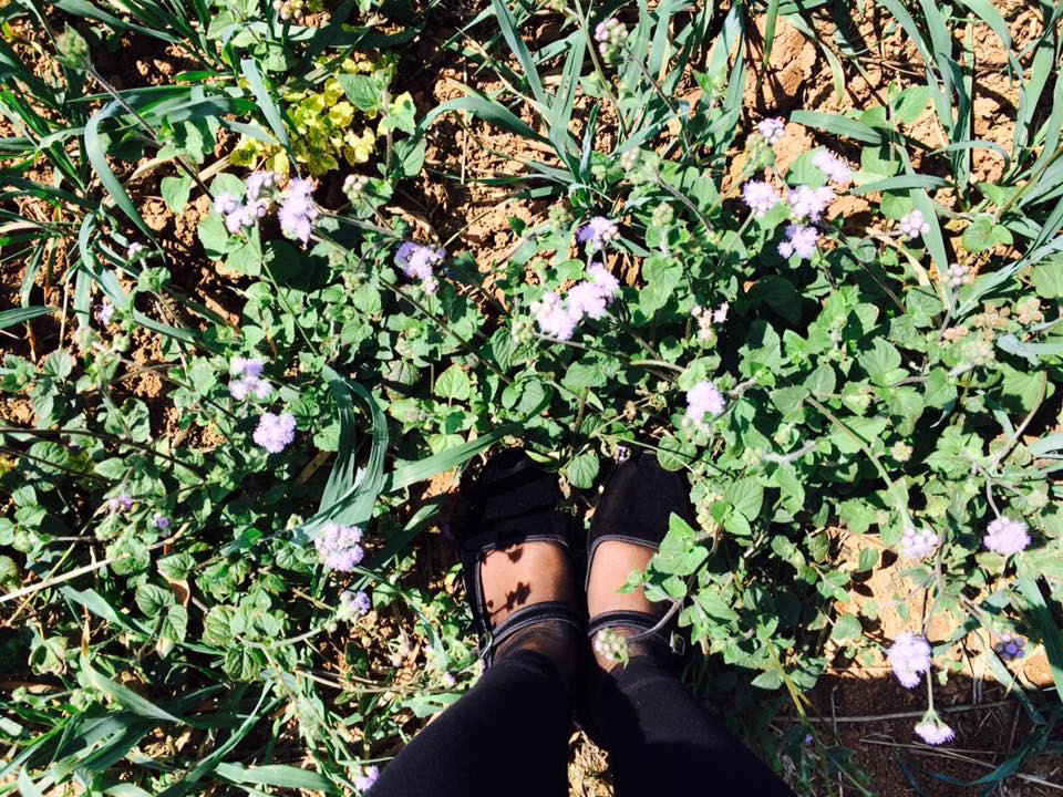 Cuộc thi viết Trà sữa cho tâm hồn: Hôm nay tớ nhặt lại vương miện của chính mình ảnh 2