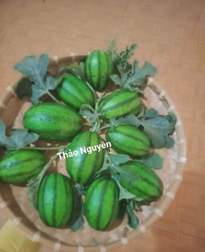 Mời bạn chiêm ngưỡng những chiếc bánh bao tạo hình “lừa tình” nhất thế gian ảnh 4