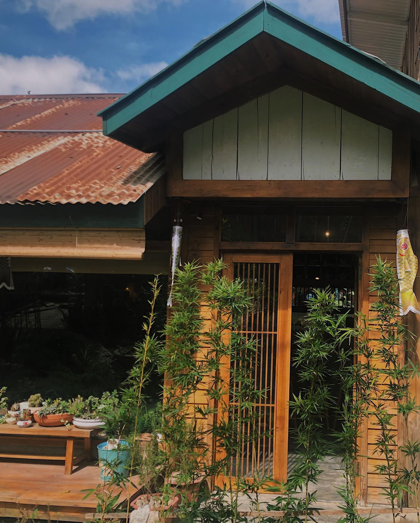 No bụng với mì xoong Bào Ngư, đã mắt ngắm hoa dã quỳ và thưởng thức trà đạo ở Đà Lạt ảnh 5