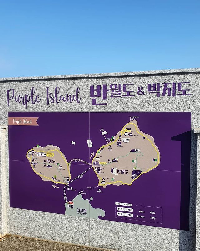 Có gì hấp dẫn ở đảo Banwol - hòn đảo “tím lịm tìm sim” ở phía Nam Hàn Quốc? ảnh 2
