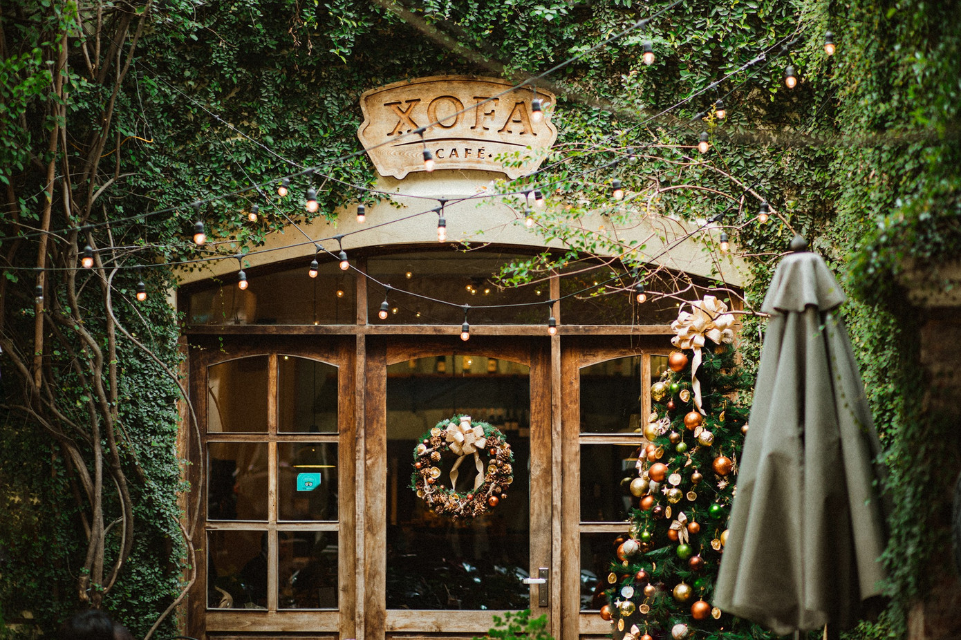 Cà phê Hà Nội: Hẹn hò trong không gian ấm cúng và bình yên đến lạ giữa lòng phố cổ ảnh 1