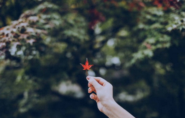 Hãy dũng cảm bước qua khỏi khoảng tối và đi về phía Mặt Trời Làm gì khi phải nghe những lời nói gây sát thương trong lúc nóng giận của bố mẹ? ảnh 2