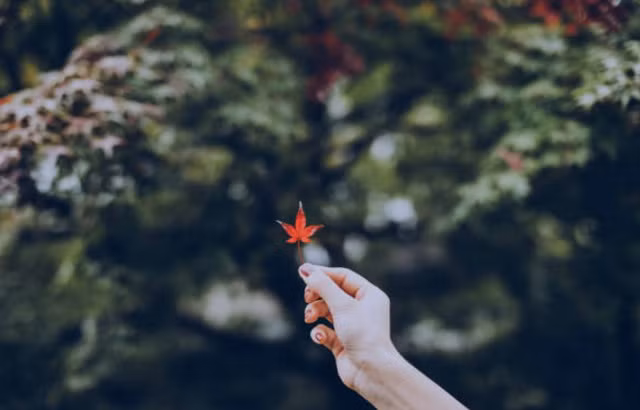 Làm gì khi phải nghe những lời nói gây sát thương trong lúc nóng giận của bố mẹ? ảnh 2