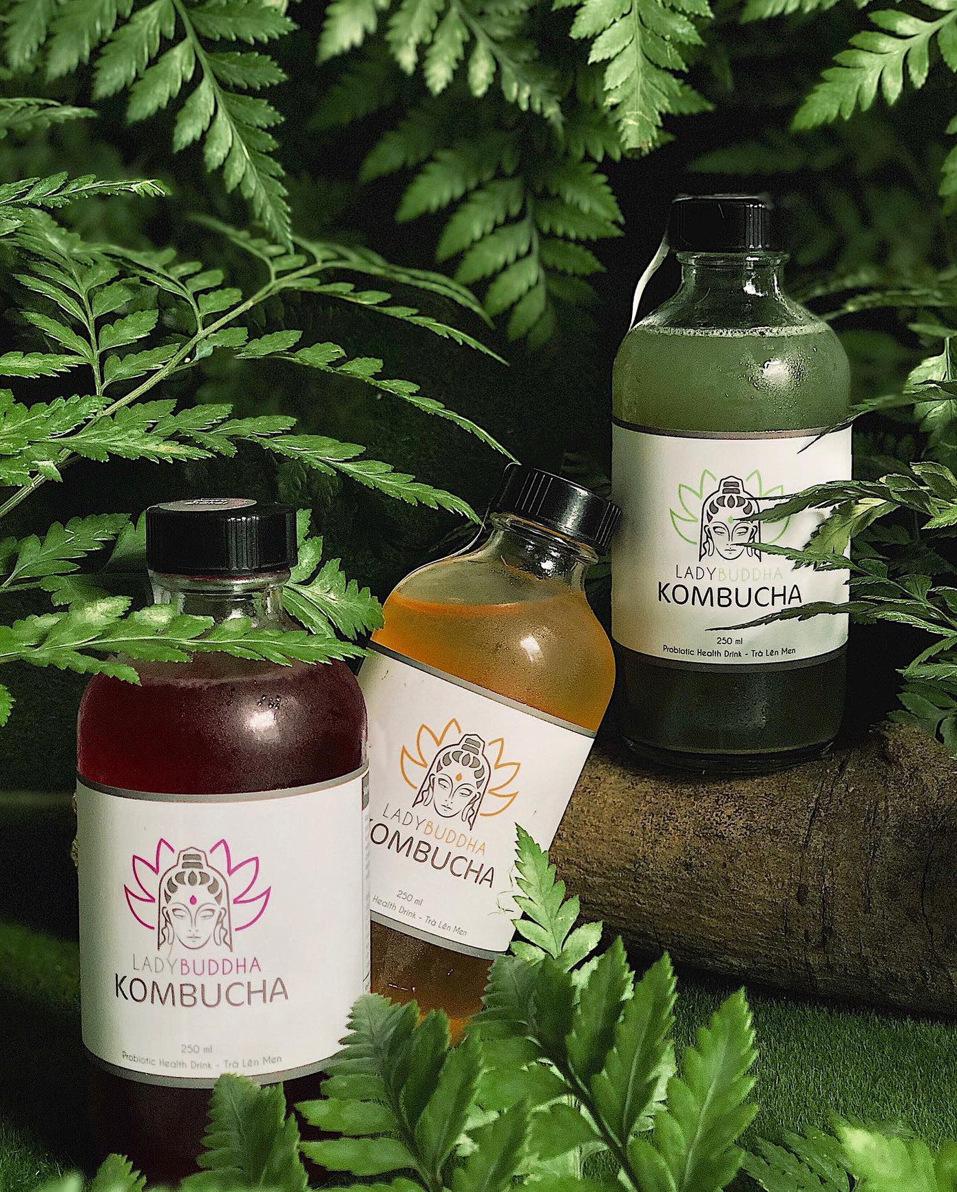 TP.HCM: Trạm dừng chân đáng yêu cho những lữ khách trót mê kombucha và đá xay ảnh 7