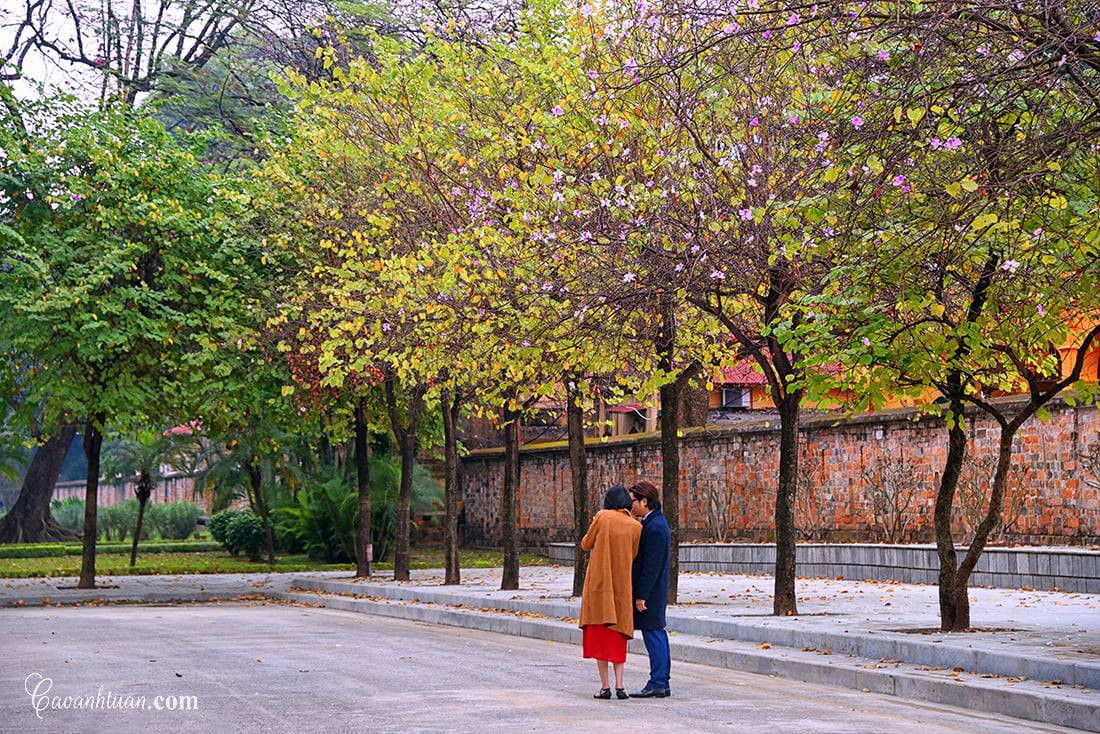 Hà Nội: Rủ bạn thân, gà bông chụp ngay bộ ảnh trên con đường hoa ban tím đẹp mơ màng ảnh 6