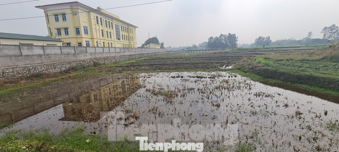 Điều tra chủ chung cư lừa dối khách hàng, nở rộ dự án bất động sản quảng cáo láo ảnh 2
