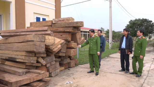 Bắt giữ nhóm phá rừng quy mô lớn ảnh 3