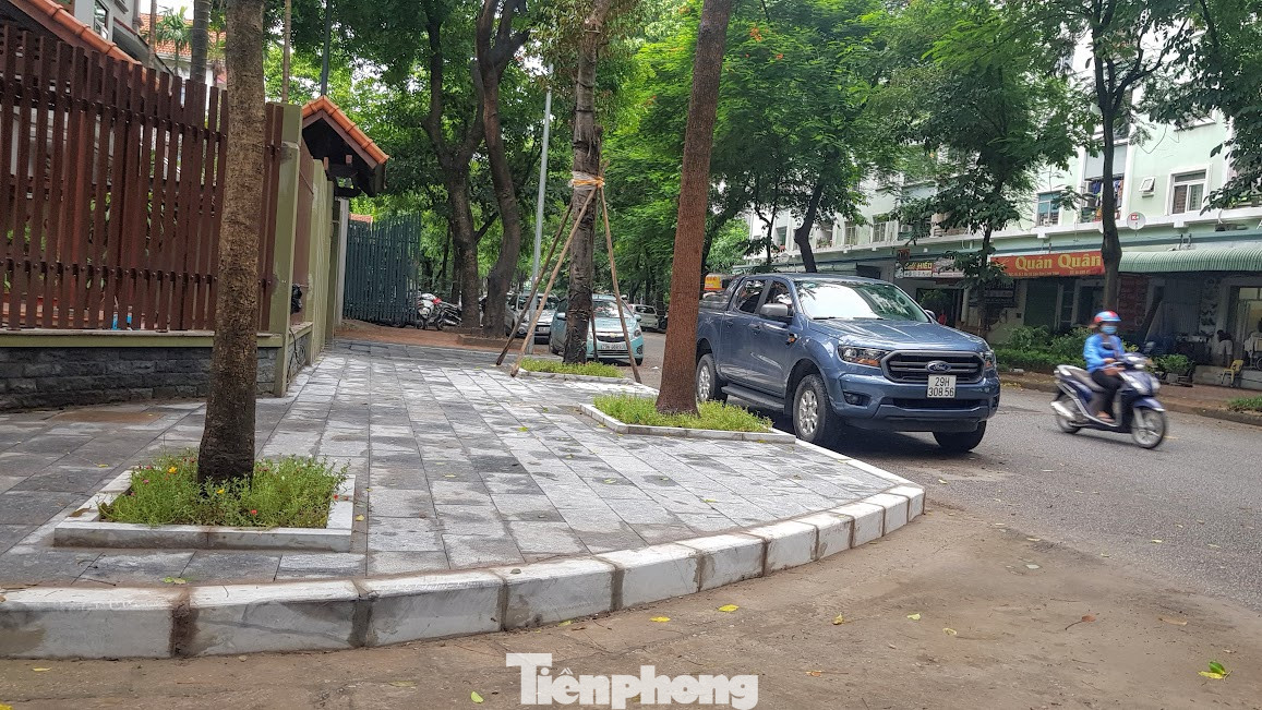 Vụ chủ biệt thự tự ý chặt cây, lát vỉa hè trái phép: Sai phạm vẫn ‘chình ình’ ảnh 1