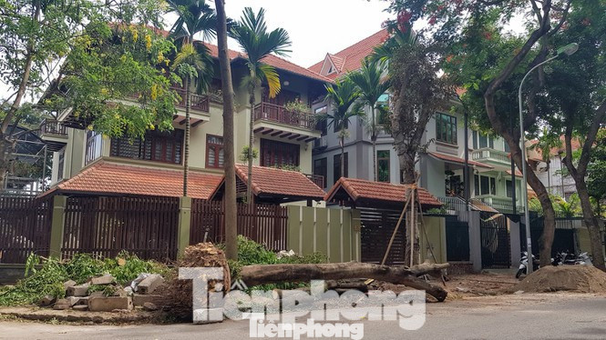 Vụ chủ biệt thự tự ý chặt cây, lát vỉa hè trái phép: Sai phạm vẫn ‘chình ình’ ảnh 3