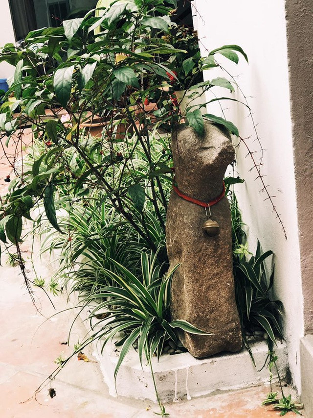 Nhà 'tổ chim' ở Hà Nội gây ấn tượng bởi thiết kế không giống ai ảnh 16