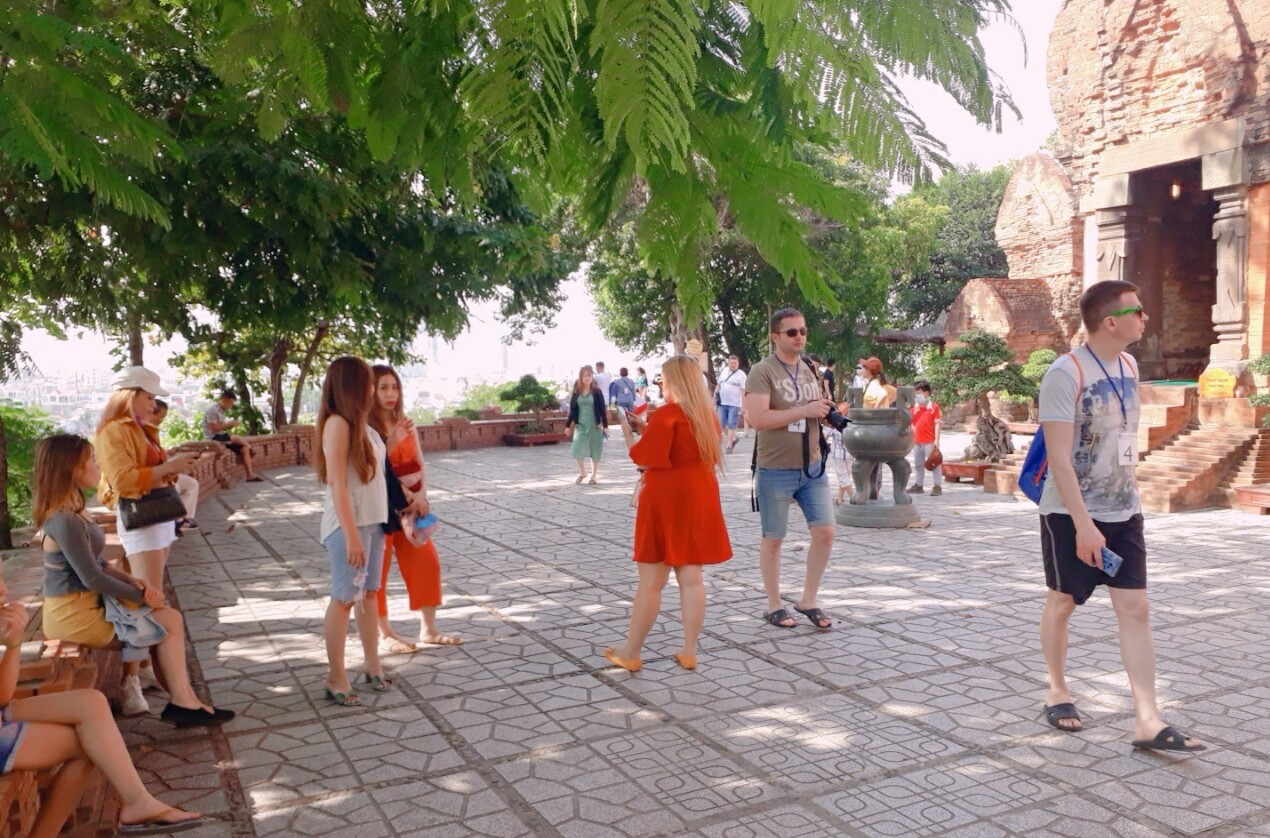 Bộ, ngành ​hoãn họp, dân làm việc trực tuyến ảnh 5