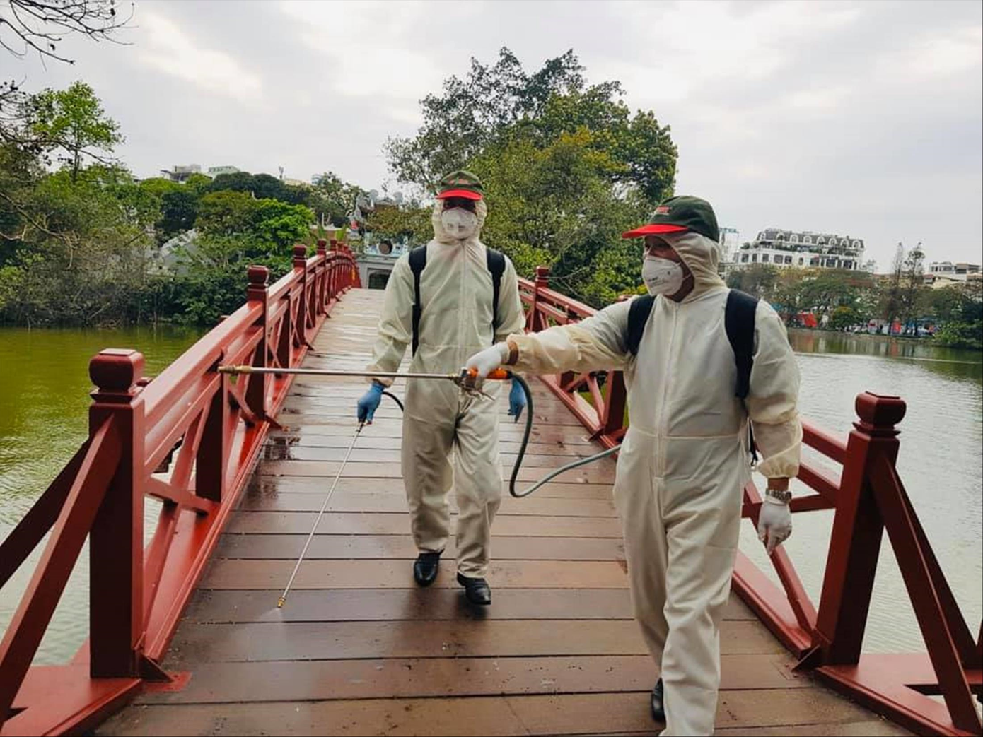 Trầm trồ vẻ đẹp 5 gốc gạo cổ thụ độc đáo ở Đồ Sơn ảnh 16 Trầm trồ vẻ đẹp 5 gốc gạo cổ thụ độc đáo ở Đồ Sơn ảnh 16