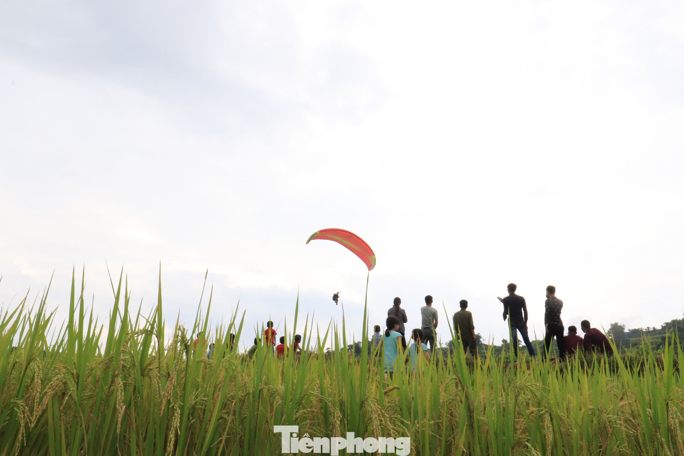 Những cánh dù bay trên biển mây Hồng Thái, Tuyên Quang ảnh 15