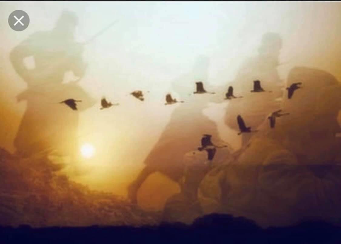 Và ngang trời đàn sếu vẫn bay… bay… ảnh 3