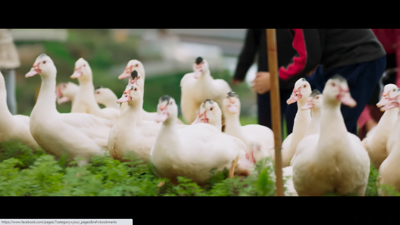 Không phải ngồi chờ nữa vì “bạn già” Đen Vâu đã chính thức rủ rê JustaTee cùng “Đi Về Nhà“ ảnh 2