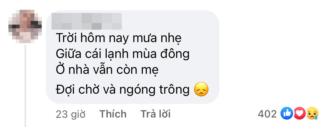 Đen Vâu làm thơ gửi mẹ, các “đồng âm” liền trổ tài đối đáp gửi bao tình thương về cho gia đình ảnh 6
