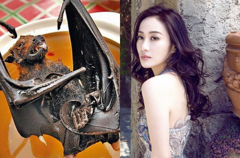 Minh Đạo bị yêu cầu rời khỏi showbiz sau video ăn thịt dơi ảnh 1