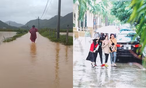 Đường phố Đà Nẵng hóa sông, người dân đổ ra chèo thuyền, bắt cá mặc thành phố can ngăn ảnh 8