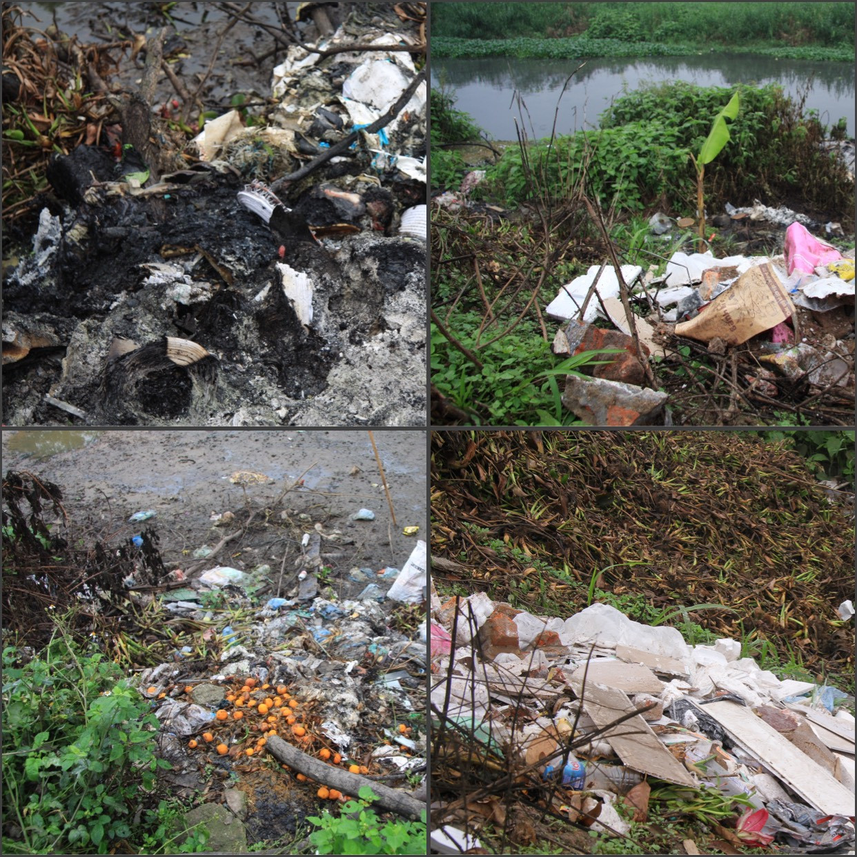 Bãi rác tự phát tràn lan, người dân khốn khổ 'sống chung' với mùi hôi thối ảnh 9