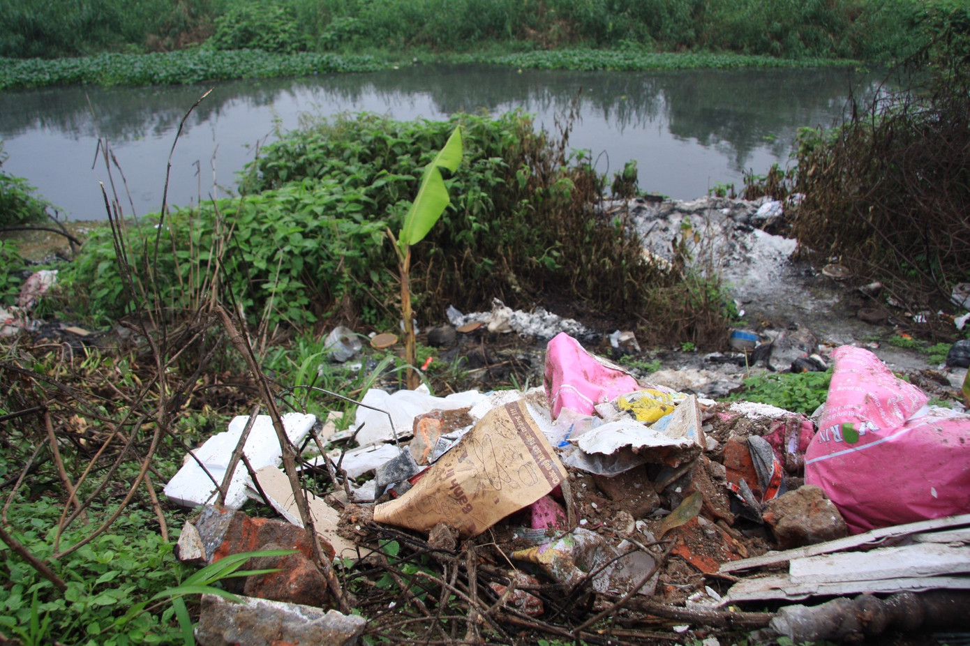 Bãi rác tự phát tràn lan, người dân khốn khổ 'sống chung' với mùi hôi thối ảnh 6