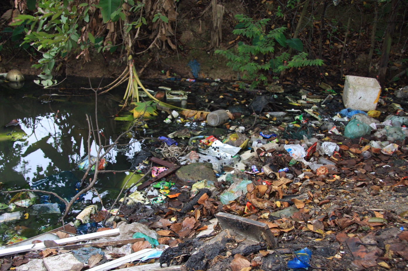 Bãi rác tự phát tràn lan, người dân khốn khổ 'sống chung' với mùi hôi thối ảnh 7