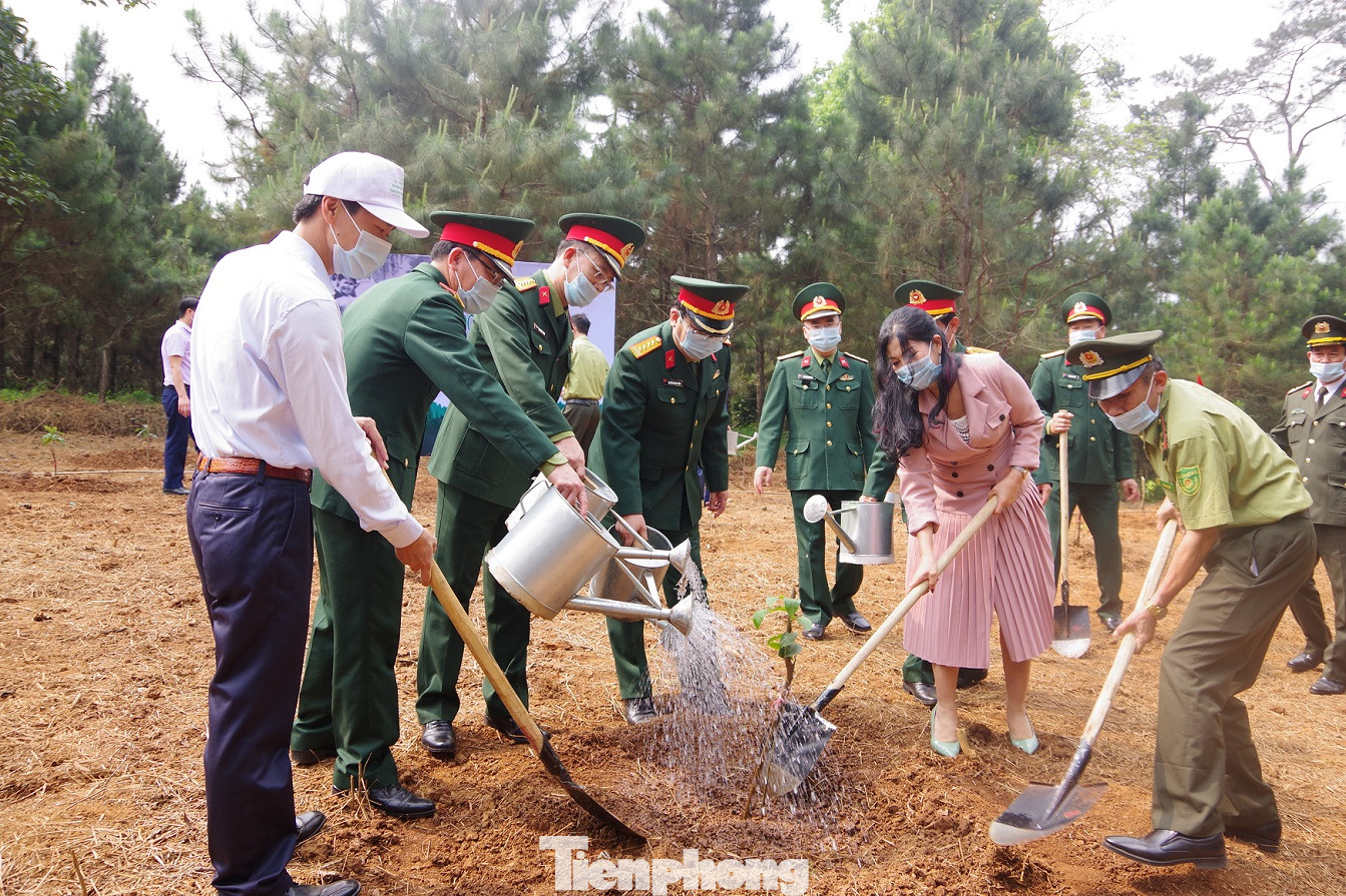 Trồng mới gần 50 ha cây xanh tại Khu Di tích K9 ảnh 2