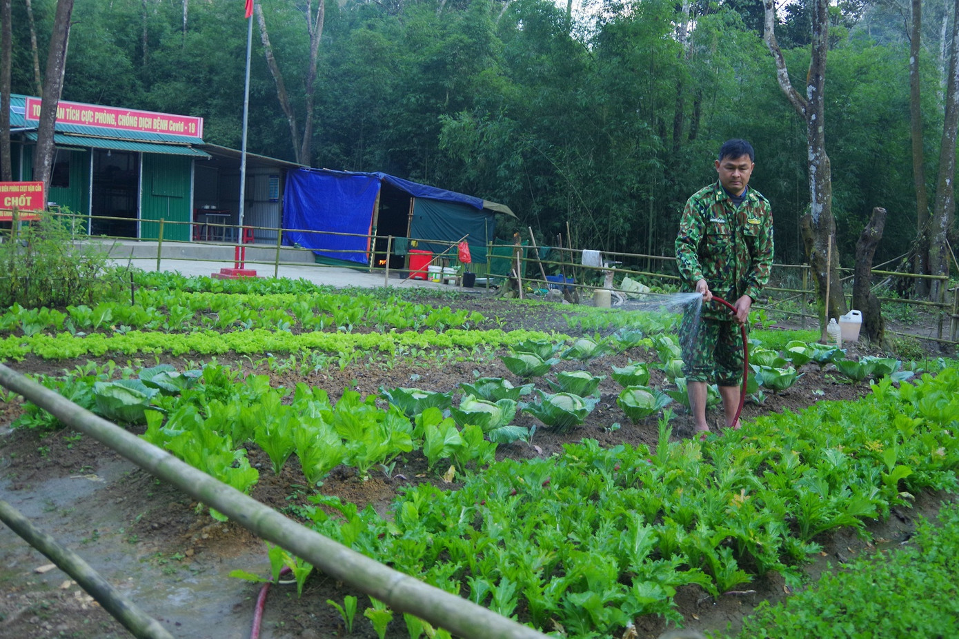 Xuân về, Biên phòng xứ Nghệ nếm mật nằm gai bám chốt ảnh 2