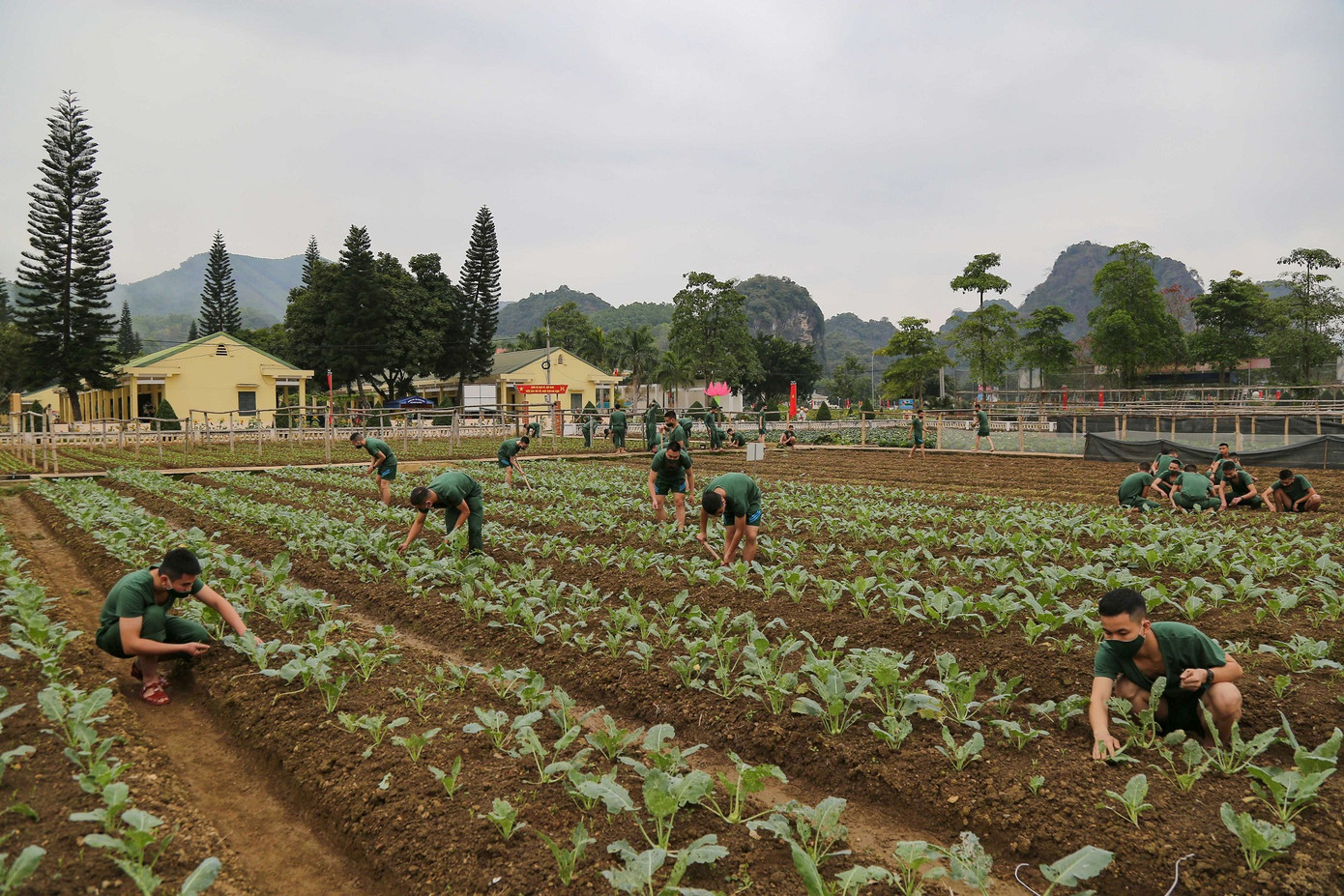 Tân binh Trung đoàn 246 gác nỗi nhớ nhà, hăng say tập luyện ảnh 11