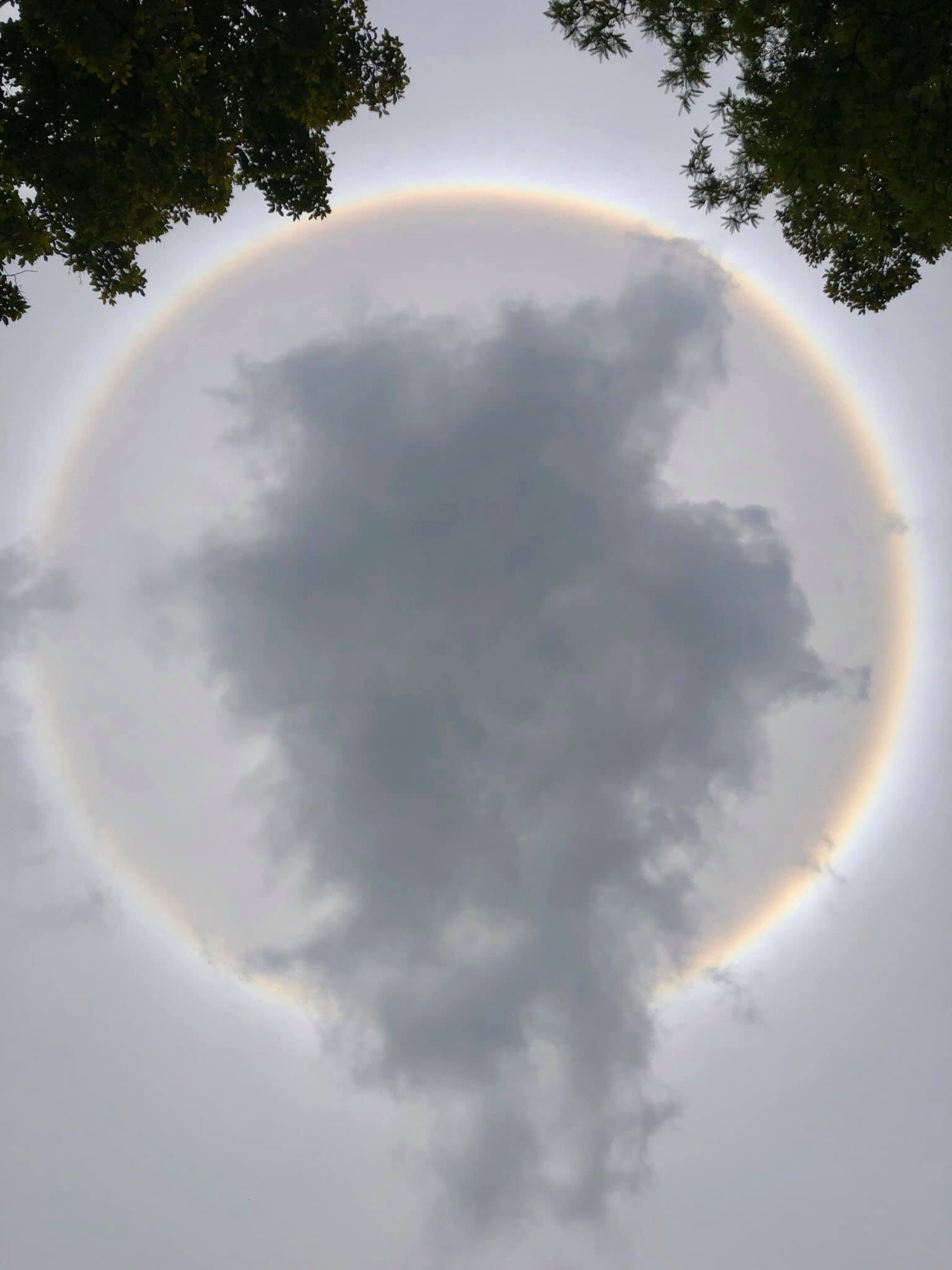 Hiện tượng hiếm gặp “Tán Mặt Trời” bất ngờ xuất hiện khiến giới trẻ Sài Gòn thích thú ảnh 2