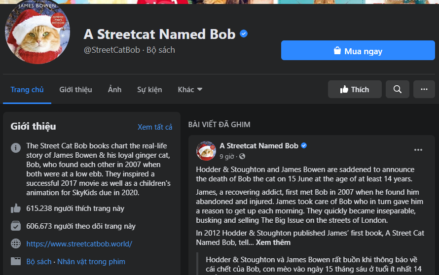 Bob - chú mèo đường phố nổi tiếng từng lên sách và phim đã qua đời ảnh 1