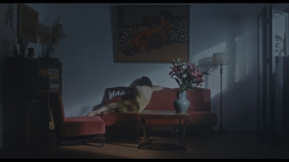 Đồng Lan lần đầu tiết lộ cú sốc tinh thần sau cái chết của bạn diễn chung MV ảnh 4