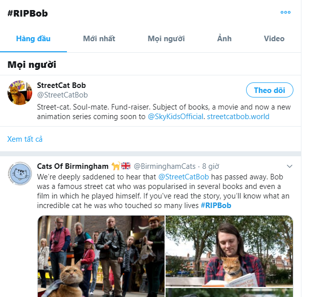 Bob - chú mèo đường phố nổi tiếng từng lên sách và phim đã qua đời ảnh 5