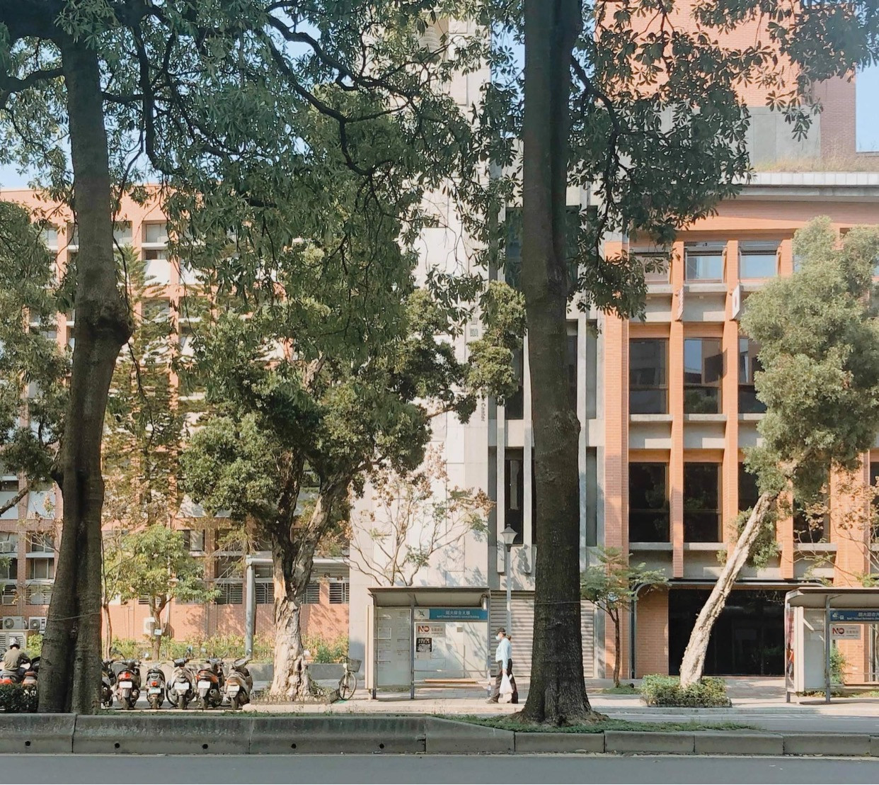 Hành trình về nhà “như phim” của du học sinh Đài Loan vừa hạ cánh tại Cam Ranh ảnh 2