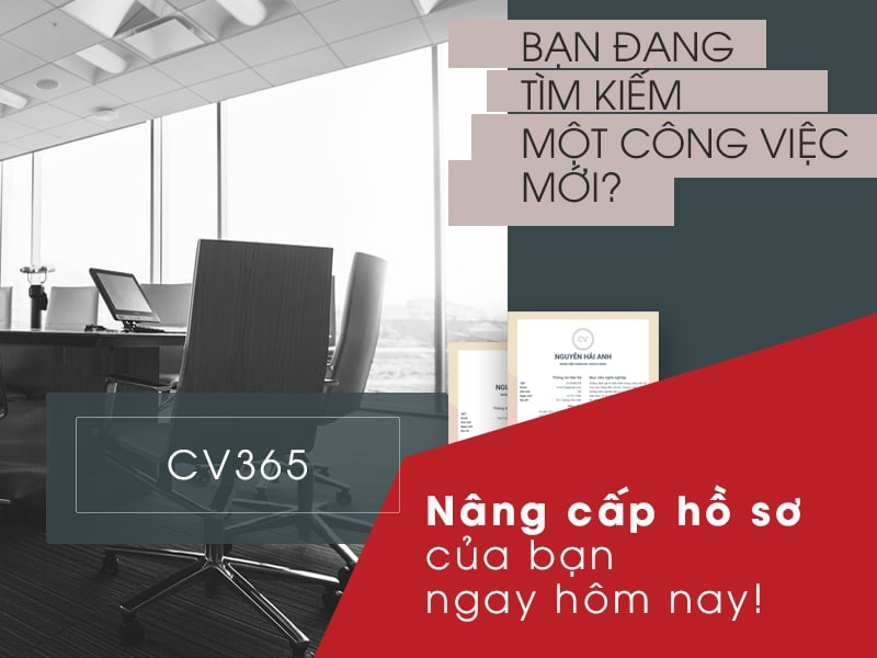 Timviec365.vn - Vũ khí lợi hại của Công ty cổ phần thanh toán Hưng Hà ảnh 3