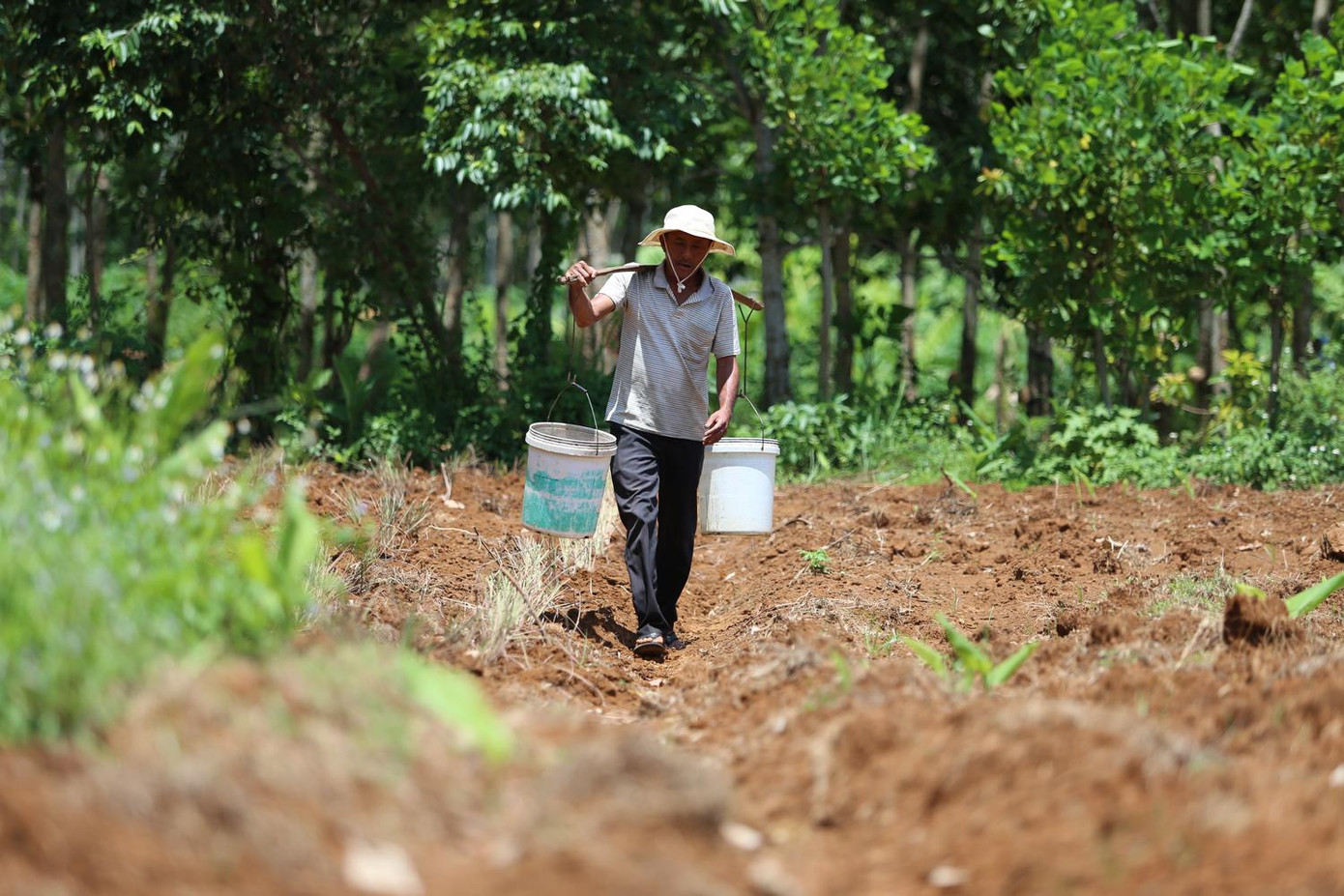 200 hộ dân tại An Khê, Quảng Trị vui mừng đón nước sạch về ảnh 2
