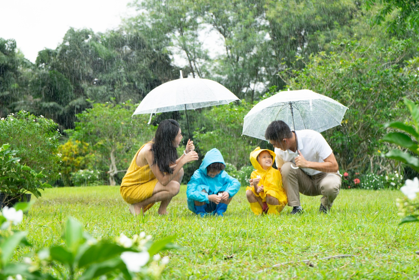 Cho con phát triển cùng môi trường tự nhiên có lợi ích bất ngờ gì? ảnh 1