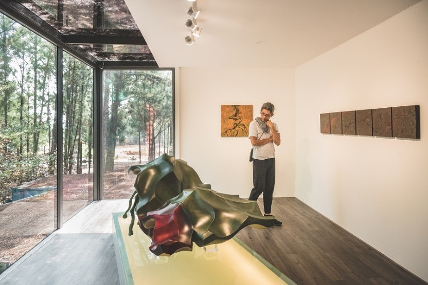 Đoàn nghệ sĩ châu Á ngỡ ngàng với Triển lãm nghệ thuật độc đáo tại Đại Lải ảnh 9