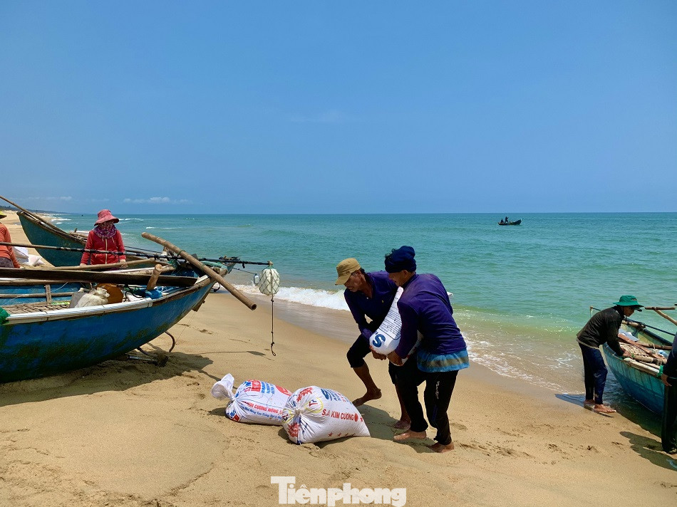 Ngư dân bỏ túi tiền triệu mỗi ngày nhờ cào ‘lộc biển’ ảnh 4