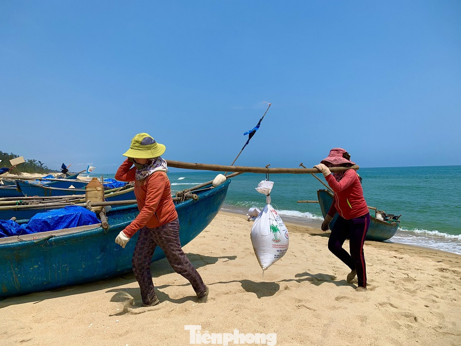 Ngư dân bỏ túi tiền triệu mỗi ngày nhờ cào ‘lộc biển’ ảnh 7