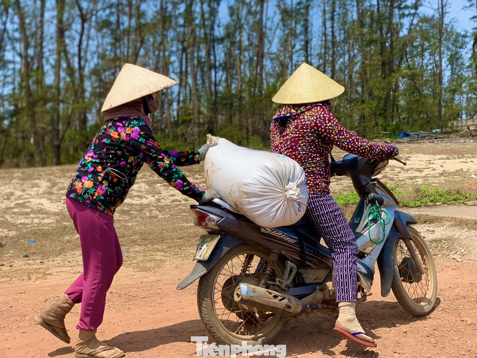 Ngư dân bỏ túi tiền triệu mỗi ngày nhờ cào ‘lộc biển’ ảnh 13