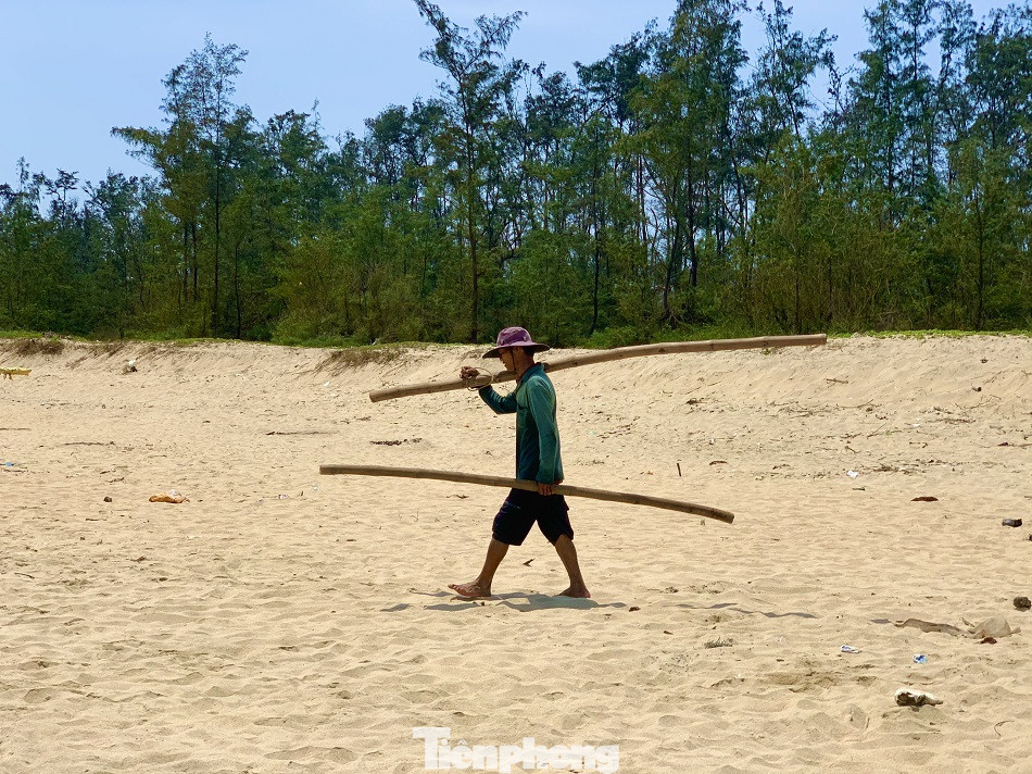 Ngư dân bỏ túi tiền triệu mỗi ngày nhờ cào ‘lộc biển’ ảnh 6