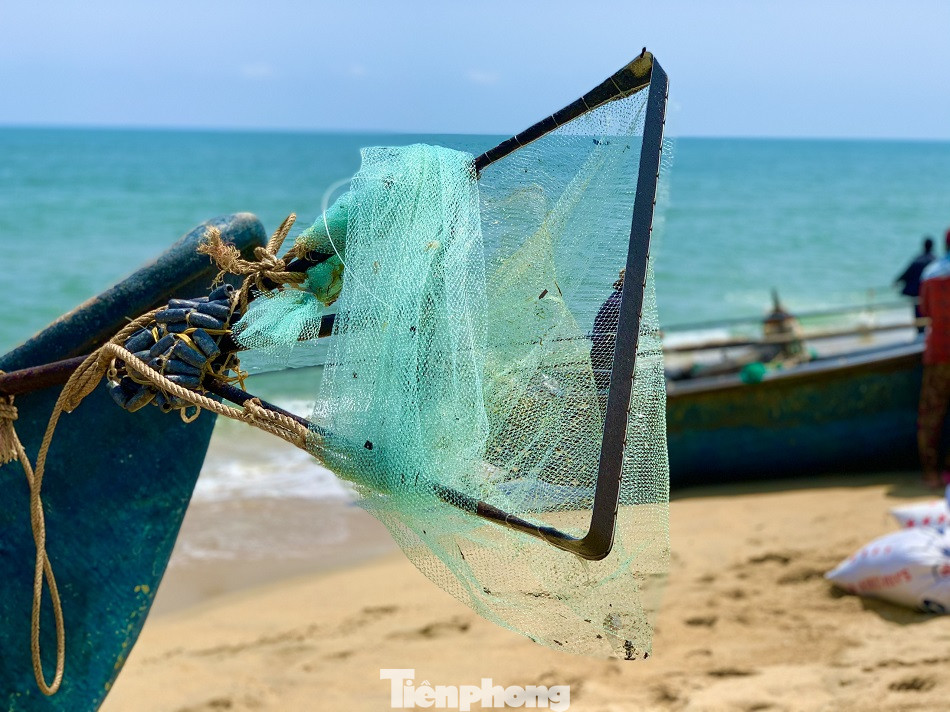 Ngư dân bỏ túi tiền triệu mỗi ngày nhờ cào ‘lộc biển’ ảnh 3