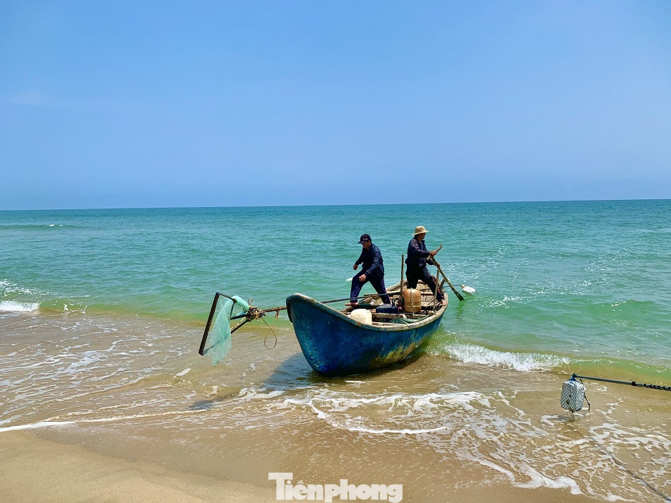 Ngư dân bỏ túi tiền triệu mỗi ngày nhờ cào ‘lộc biển’ ảnh 1
