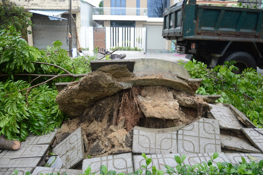 Ảnh hưởng bão số 6: Sạt lở núi chia cắt nhiều tuyến đường, Quảng Ngãi thiệt hại nặng ảnh 4