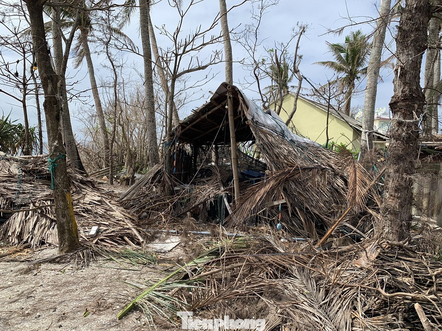 Những 'ngôi nhà cổ tích' ở đảo Lý Sơn hoang tàn sau bão ảnh 8