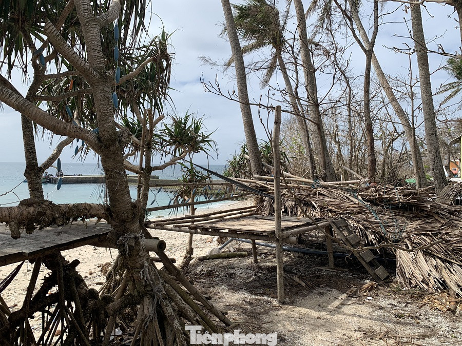 Những 'ngôi nhà cổ tích' ở đảo Lý Sơn hoang tàn sau bão ảnh 7