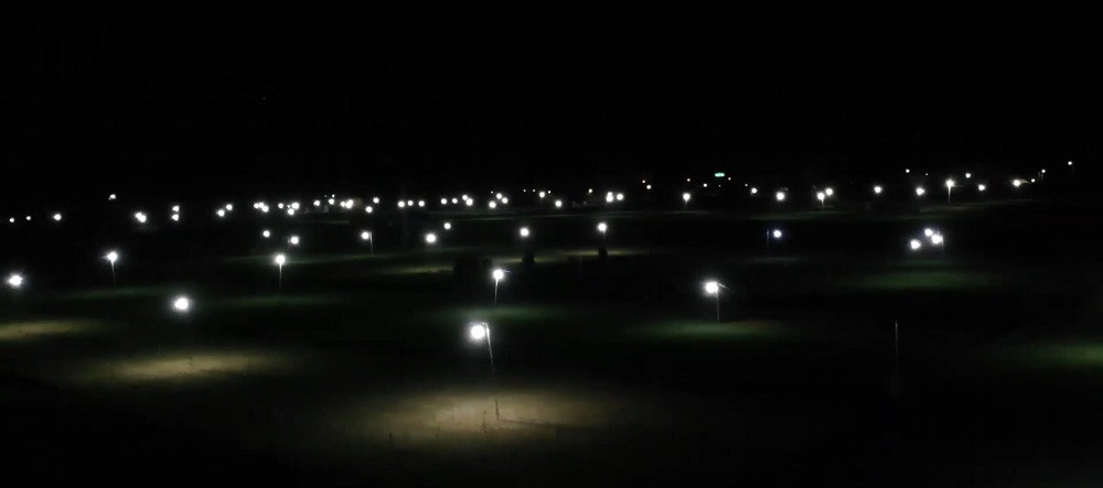 Đèn bẫy bướm trên 'thủ phủ' hành tím ở Lý Sơn sáng rực như sao trời về đêm ảnh 2